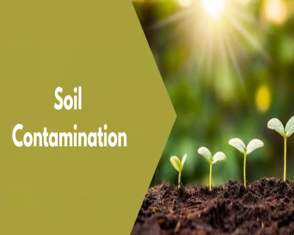 Briefly explain soil contamination risks from factories | HelloLandMark