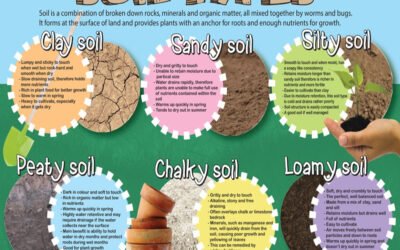Describe soil type required for industrial site selection