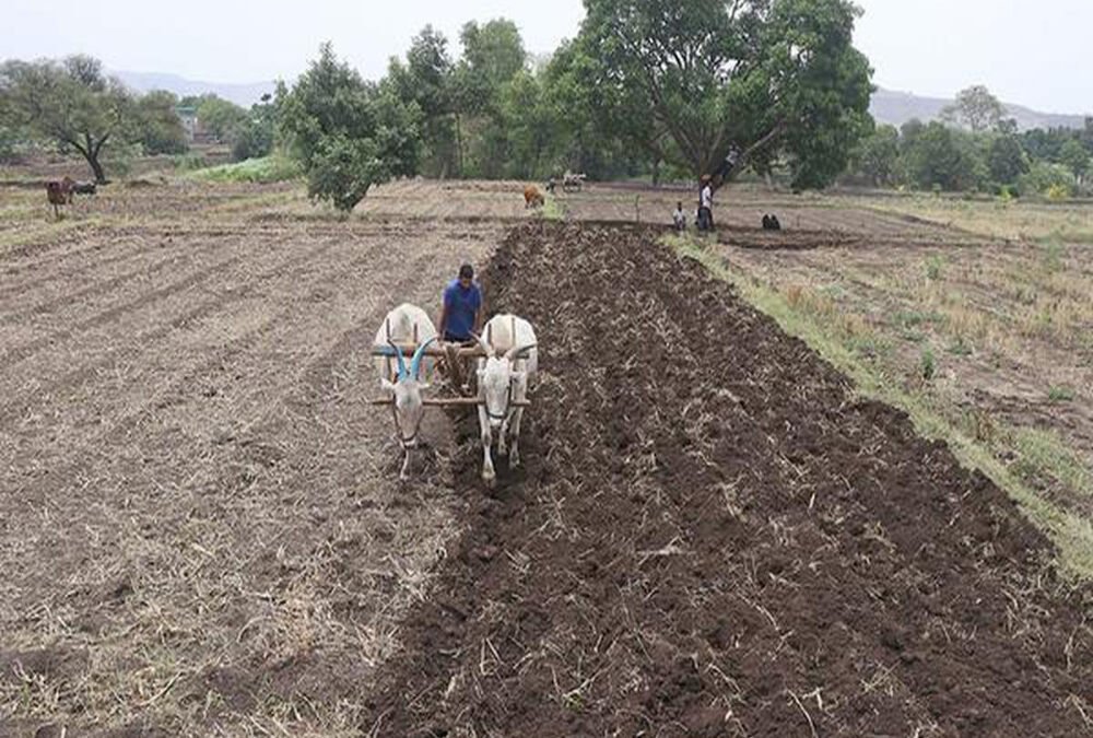 Land Titling Reforms Crucial to Accurate Industrial Land Guidance