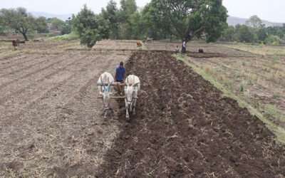 Land Titling Reforms Crucial to Accurate Industrial Land Guidance