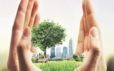 Green Ratings to Influence Future Industrial Land Guidance Values