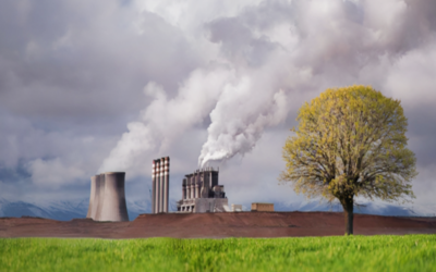 Environmental Clearances Now Mandatory for Industrial Land Reclassification
