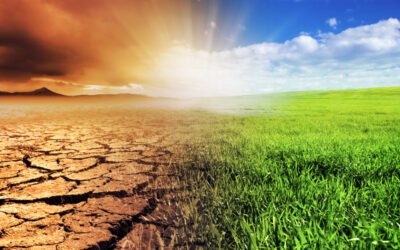 Climate Risk Zones to Be Flagged in Industrial Land Registries