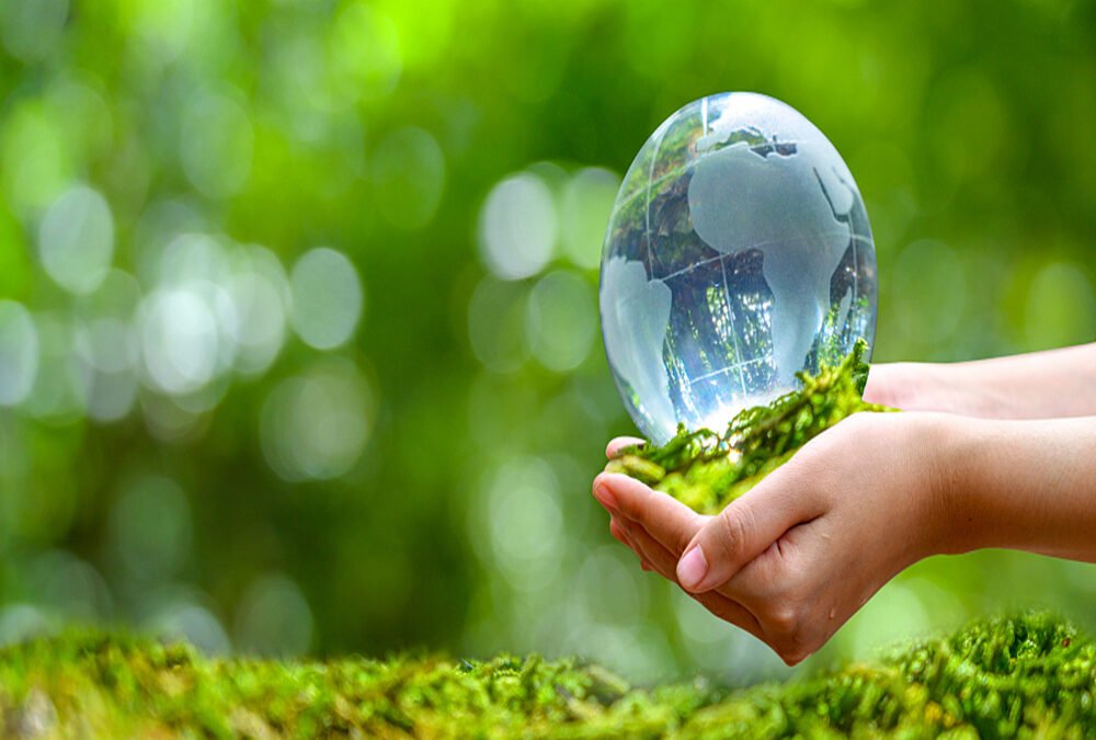 Industrial Land Use Violations Prompt Crackdown by Environmental Tribunal