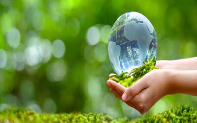 Industrial Land Use Violations Prompt Crackdown by Environmental Tribunal