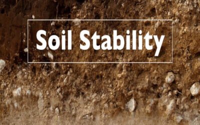 Define soil stability requirements for site development