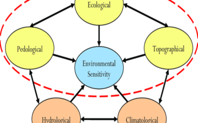 Explain environmental sensitivity of commercial land sites