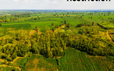 Explain land use restrictions for commercial developments