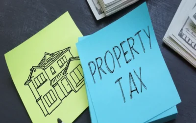 Detailed guide to property tax assessment process