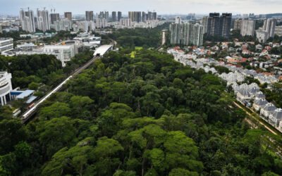 Define land constraints affecting development scope