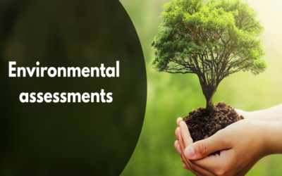 Describe environmental assessments for commercial property development