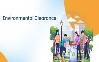 Briefly describe environmental clearance requirements
