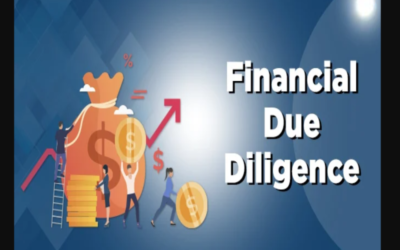 Briefly explain financial due diligence procedures