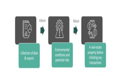 Describe environmental due diligence requirements