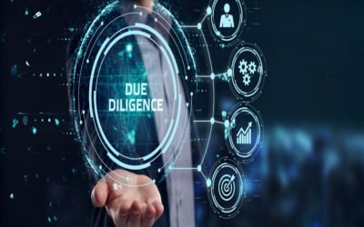 Describe utility assessment during due diligence