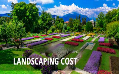 Introduction to landscaping costs in industrial zones