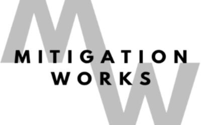 Explain the cost of environmental mitigation works