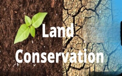 Define land conservation requirements in zoning codes