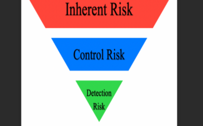 Establish importance of regular risk audits