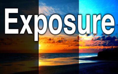 Introduction to site exposure metrics in commercial areas