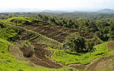Explain land slope impact on site accessibility