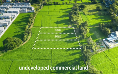 Who typically invests in undeveloped commercial land?