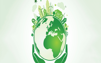 Who conducted the environmental assessments?