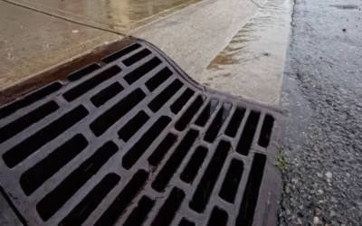What is the site’s elevation and drainage condition?
