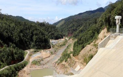 What agencies regulate environmental use in this area?