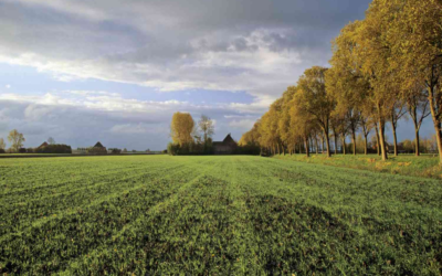 What is the estimated cost to develop the land?