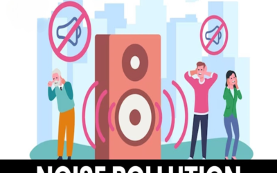 What studies are required for permitting (traffic, environmental, noise)?