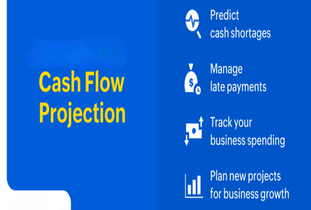 What are the projected cash flows (yearly/quarterly)?
