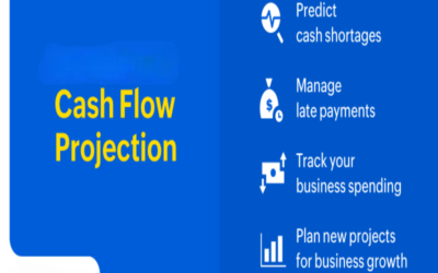 What are the projected cash flows (yearly/quarterly)?