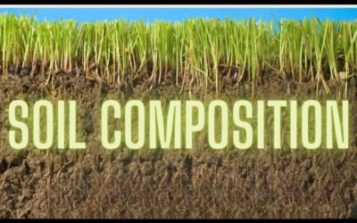 What is the soil composition?