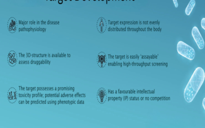 What is the ideal use or target development for the site?