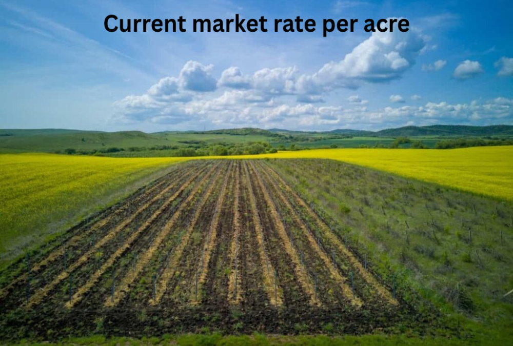 What is the current market rate per acre or square foot?