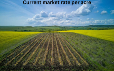 What is the current market rate per acre or square foot?