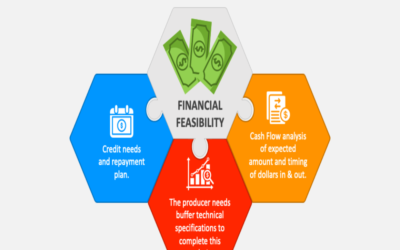 What is the financial feasibility of the development plan?