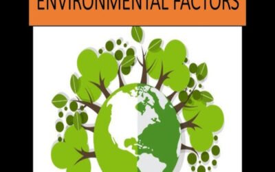 What environmental features affect development?