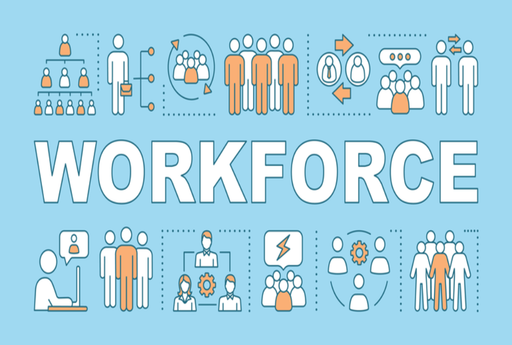  What is the size and skill level of the local workforce?