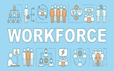  What is the size and skill level of the local workforce?