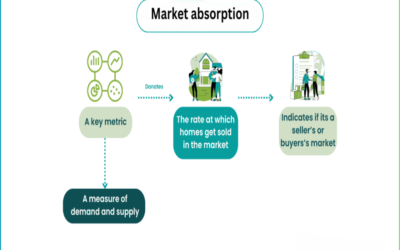 What are the assumptions about market absorption?