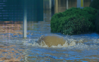 What is the water/sewer capacity for future use?