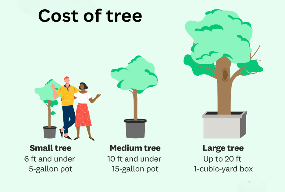 What is the cost of tree and vegetation removal?
