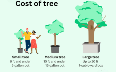 What is the cost of tree and vegetation removal?
