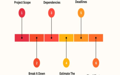What is the projected timeline for full absorption or buildout?