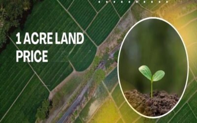 What are the local price-per-acre trends?