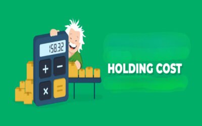 What are the annual holding costs?