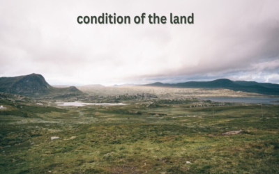 What is the current condition of the land?