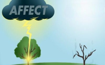 What legal restrictions affect land use?